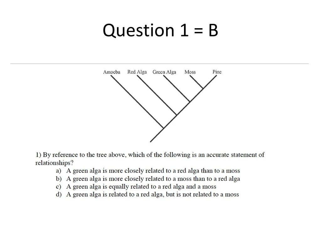 question 1 b