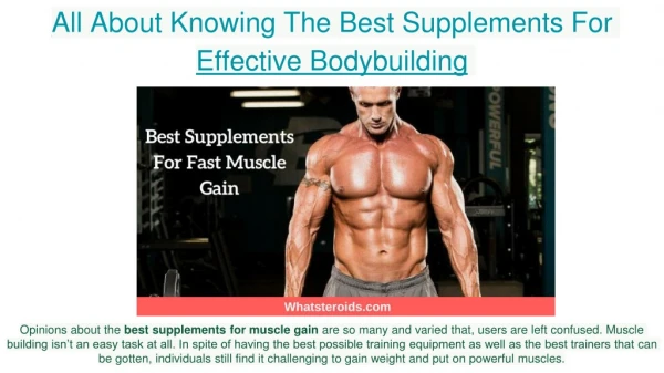 Best Supplements For Muscle Gain