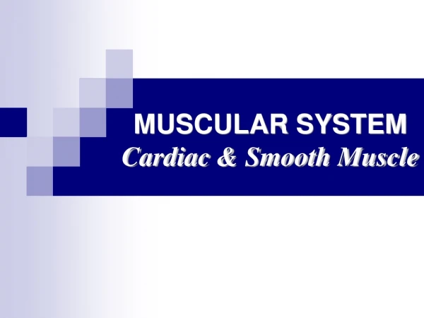 MUSCULAR SYSTEM Cardiac &amp; Smooth Muscle
