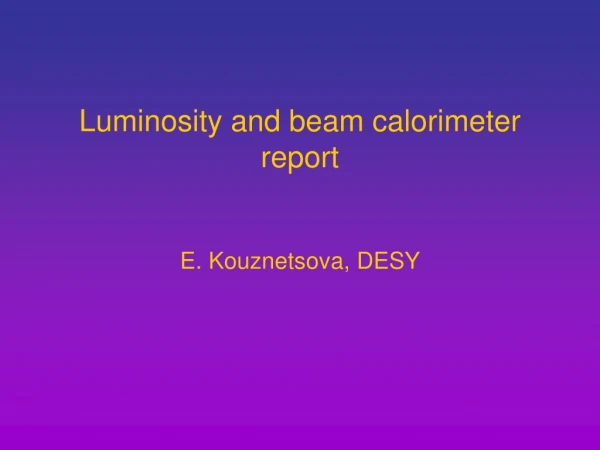 Luminosity and beam calorimeter report E. Kouznetsova, DESY