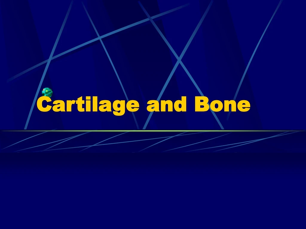 cartilage and bone