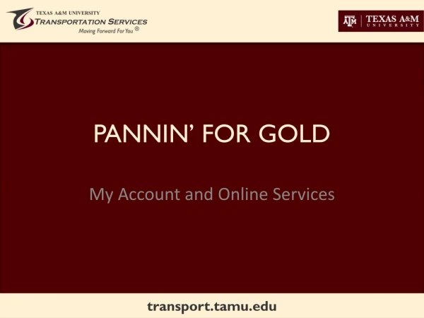 PANNIN’ FOR GOLD