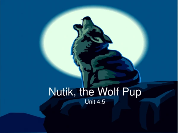 Nutik, the Wolf Pup Unit 4.5