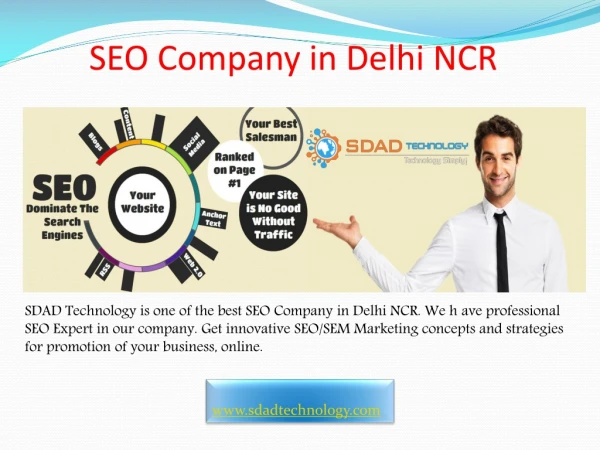 SEO Company in Delhi NCR-SDAD Technology