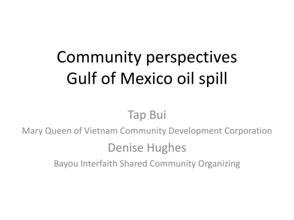 Community perspectives Gulf of Mexico oil spill