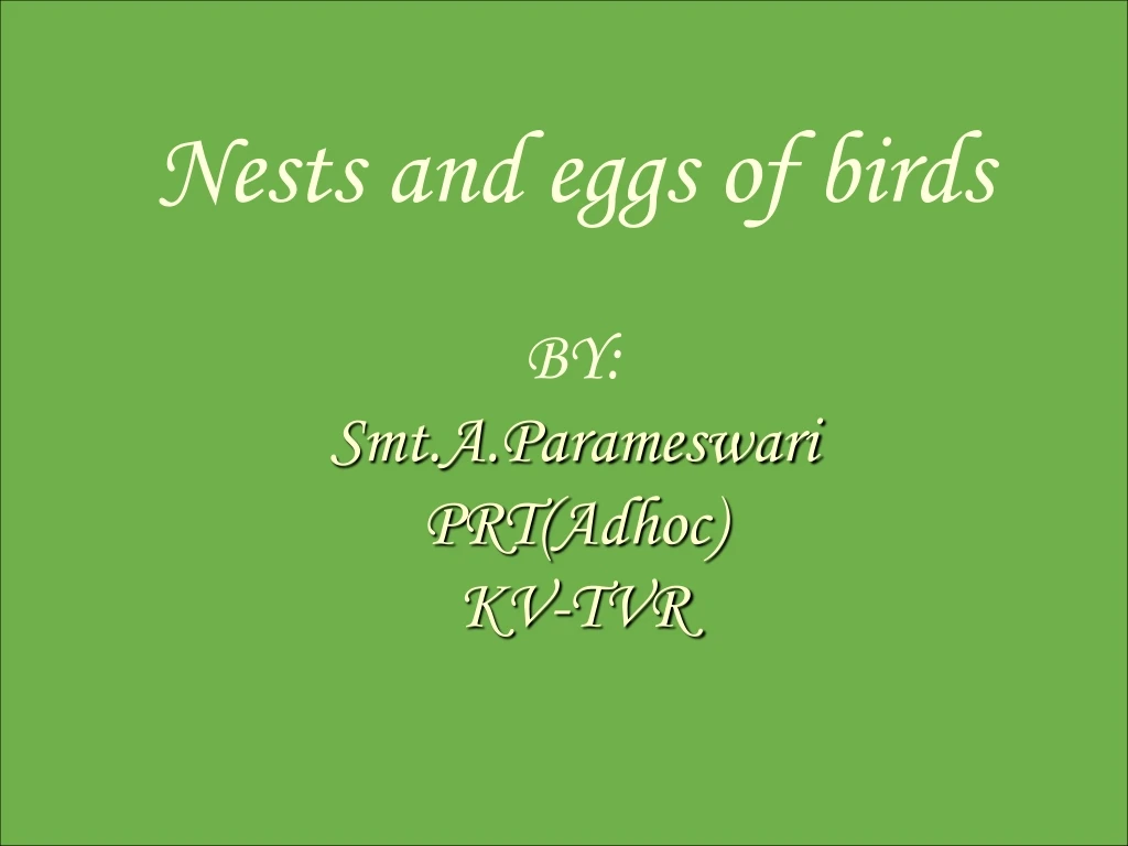 nests and eggs of birds by smt a parameswari prt adhoc kv tvr