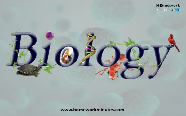Master The Skills Of Biology As Career And Be Successful.