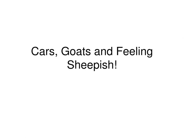 Cars, Goats and Feeling Sheepish!