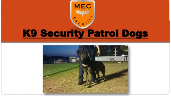 K9 Security Patrol Dogs