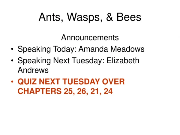 Ants, Wasps, &amp; Bees