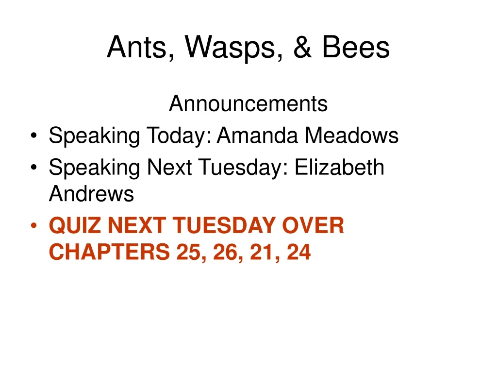 ants wasps bees