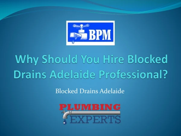 Why Should You Hire Blocked Drains Adelaide Professional?