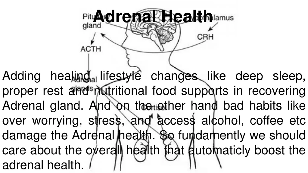 adrenal health