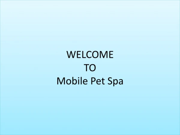 mobile pet dog grooming service - Mobile Dog Groomer