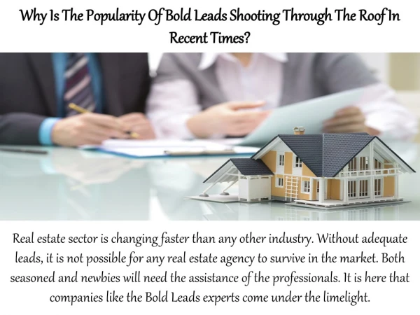 Why Is The Popularity Of Bold Leads Shooting Through The Roof In Recent Times?