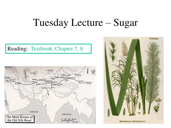 Tuesday Lecture – Sugar