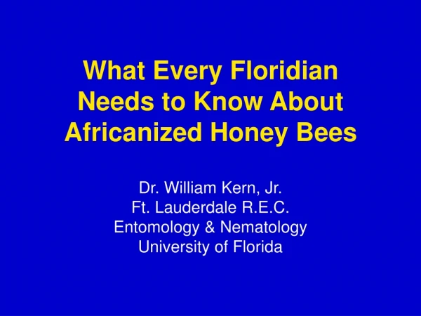 What Every Floridian Needs to Know About Africanized Honey Bees