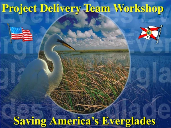 Saving America’s Everglades