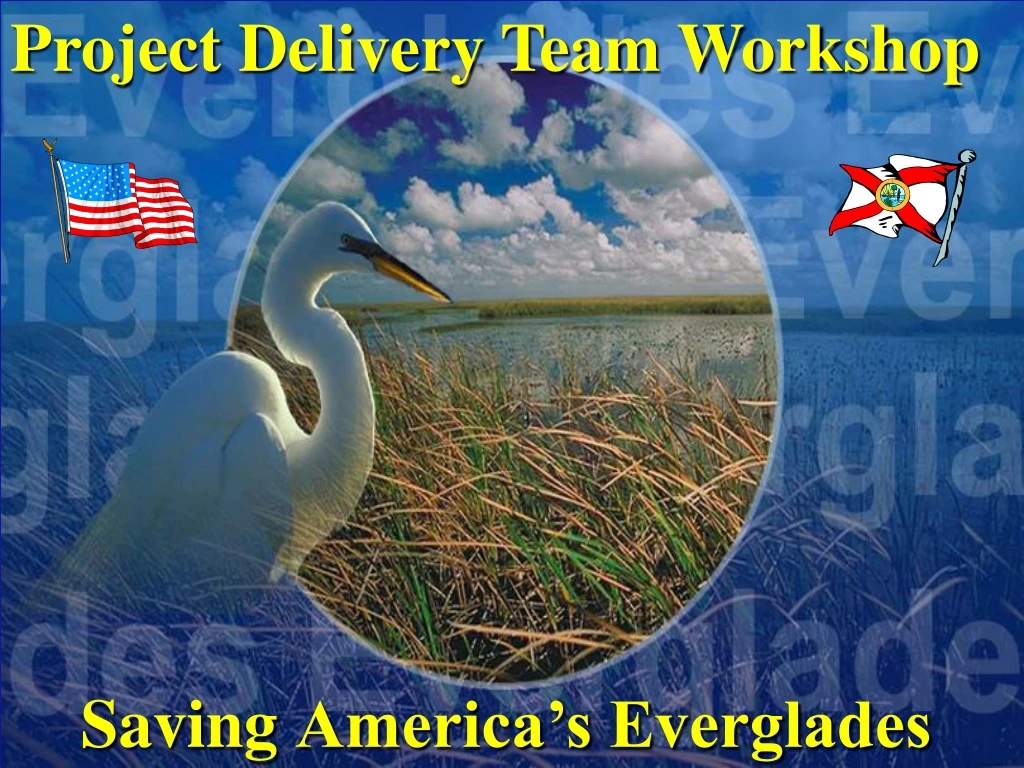project delivery team workshop