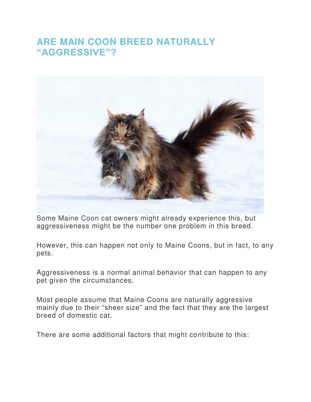 are main coon breed naturally aggressive