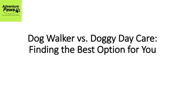 Dog Walker vs. Doggy Day Care in Pacific Islands - Finding the Best Option for You