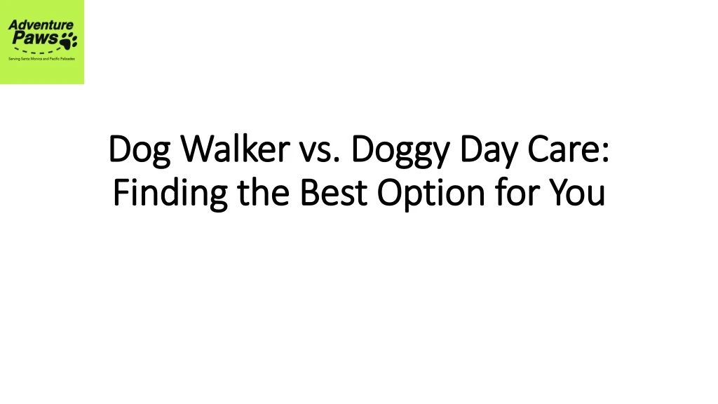 dog walker vs doggy day care finding the best option for you