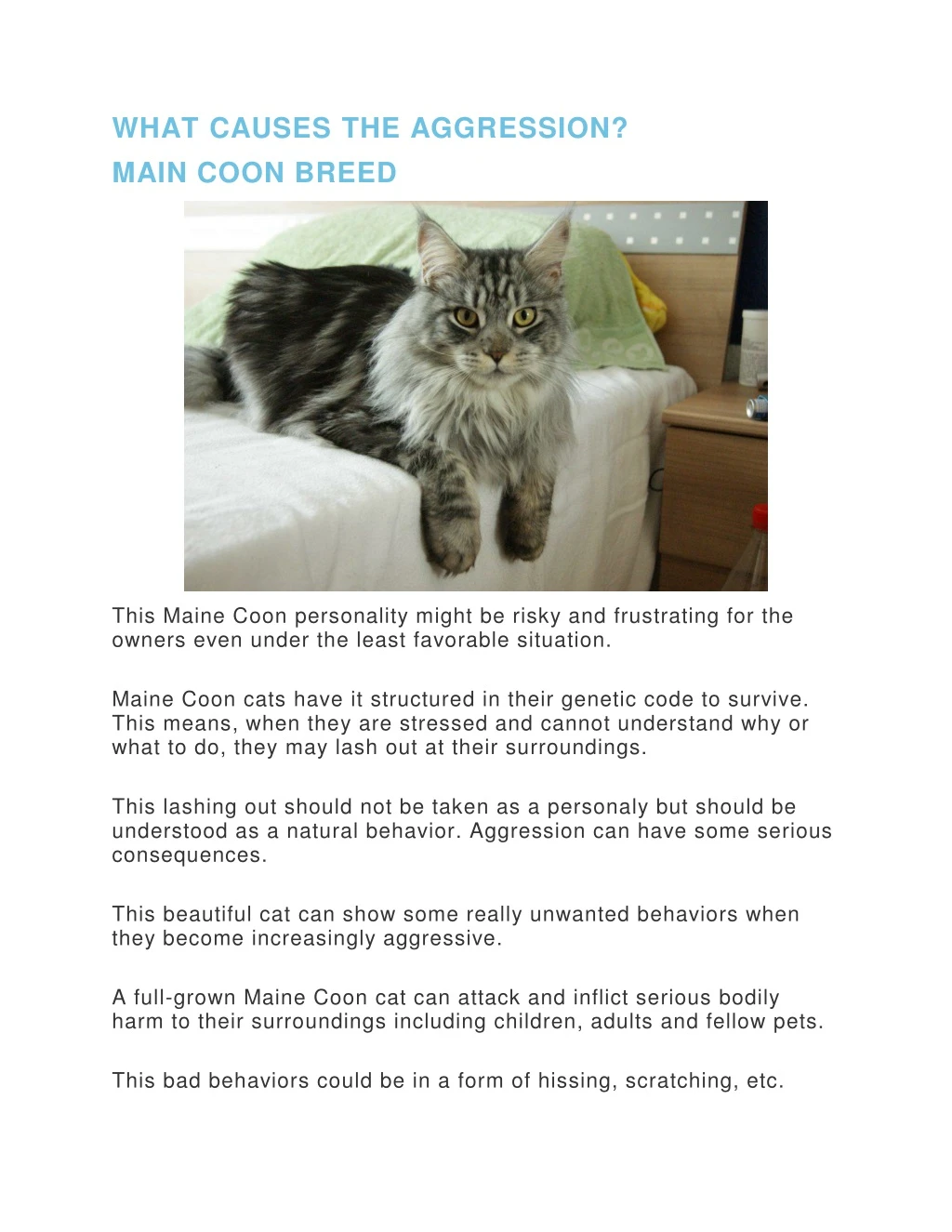 what causes the aggression main coon breed