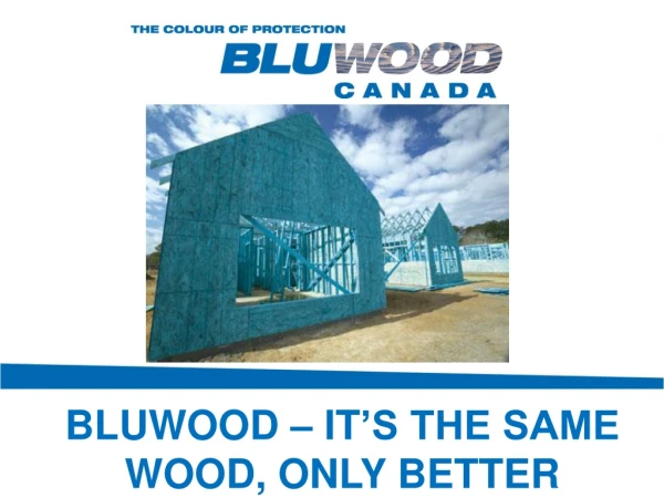 BLUWOOD – IT ’S THE SAME WOOD, ONLY BETTER