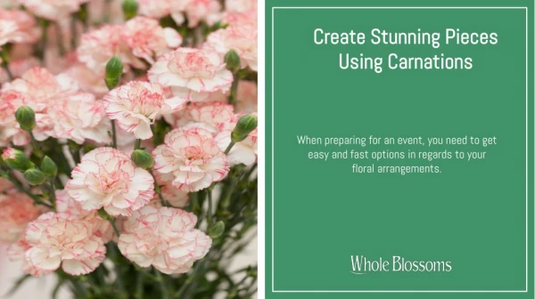 Carnation Flowers: Create Stunning Floral Decorations with Carnation Colors