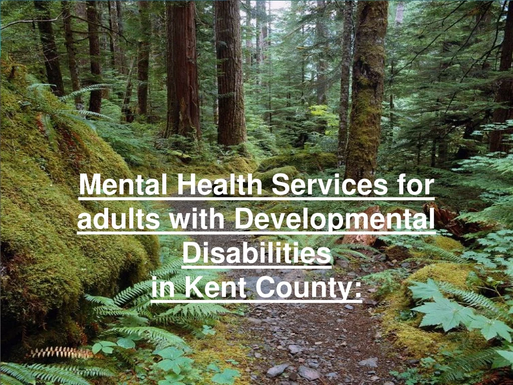 mental health services for adults with