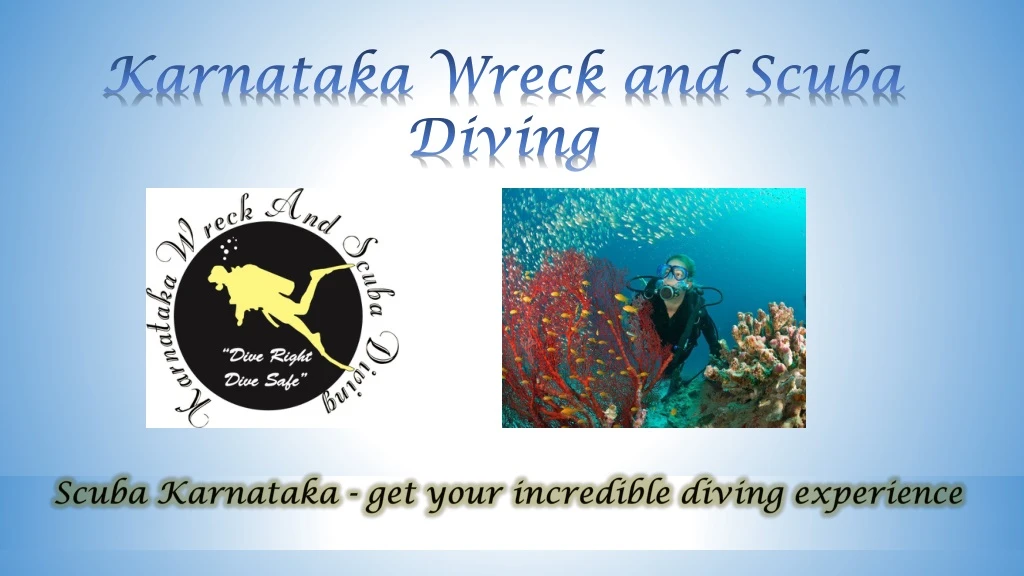 scuba karnataka get your incredible diving experience