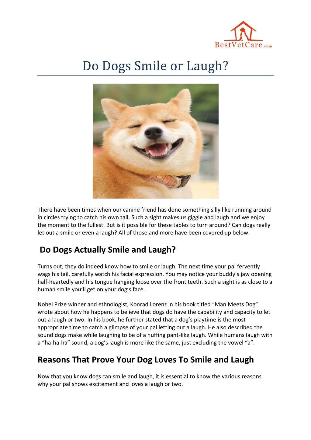 do dogs smile or laugh
