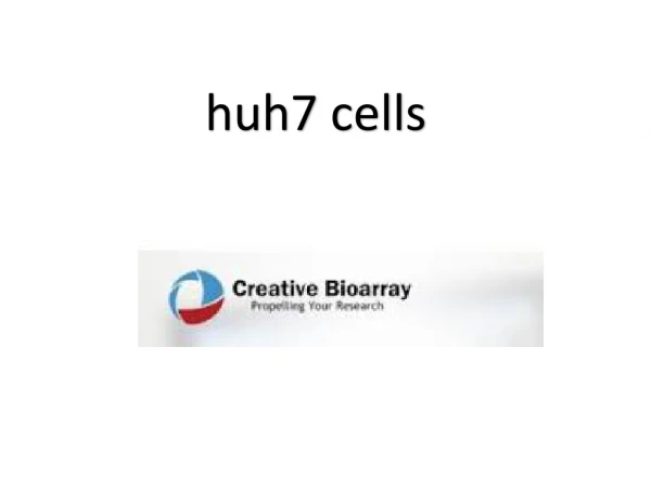 huh7 cells