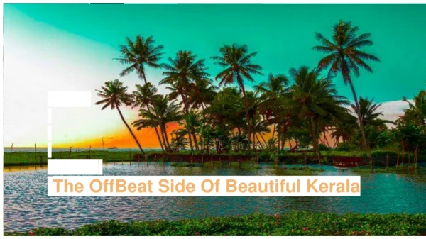 The OffBeat Side Of Beautiful Kerala