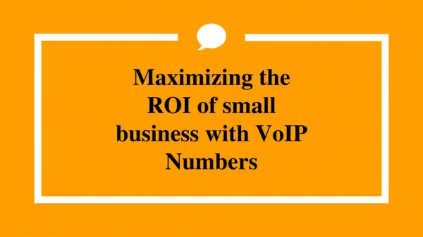 Maximizing the ROI of small business with VoIP Number