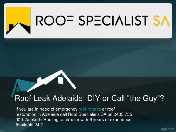 Roof Leak Adelaide: DIY or Call "the Guy"?