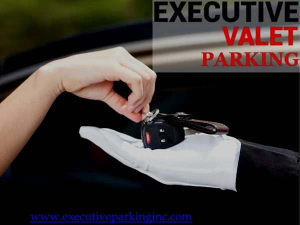 Valet For Birthday Party Miami | Executive Valet Parking