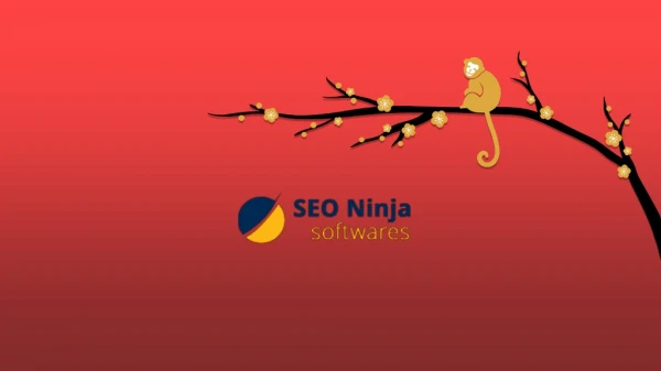 Free Online Broken Links Finder | SEONinjaSoftwares