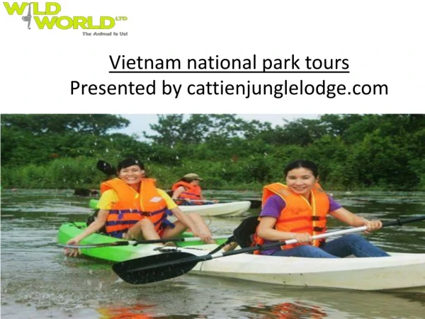 Savor the Ultimate Blissful Tour of Vietnam National Park