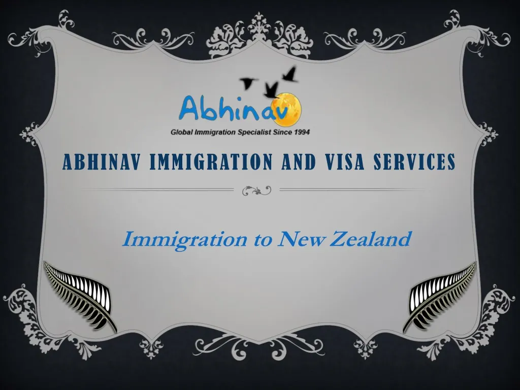 abhinav immigration and visa services