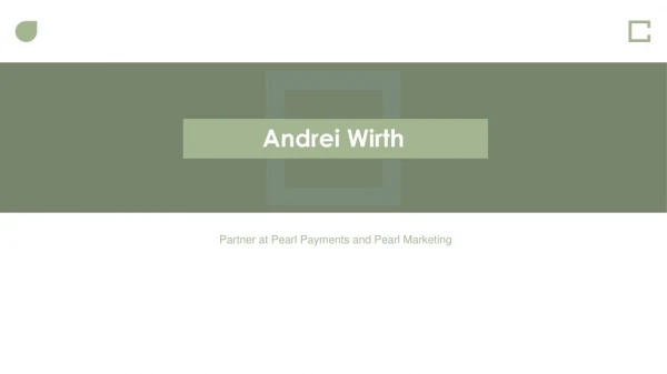 Andrei Daniel - Experienced Professional