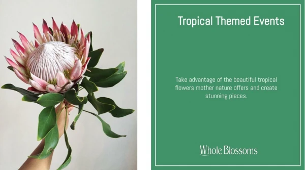 Create Lovely Arrangements with Protea Flower