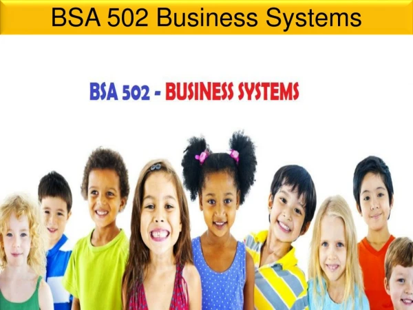 BSA 502 Business Systems