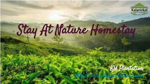 Stay at Nature Homestay