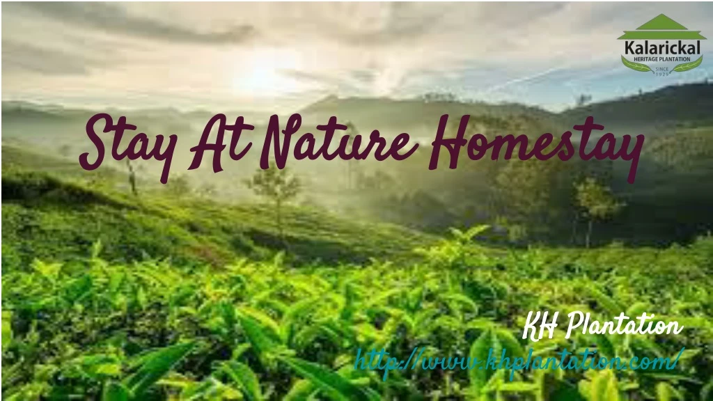 stay at nature homestay