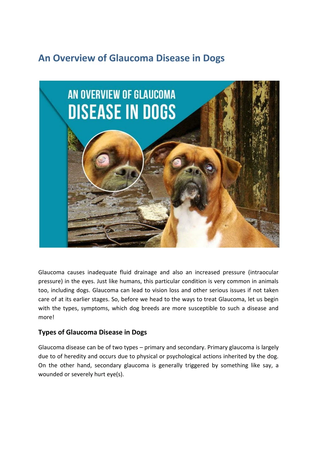 an overview of glaucoma disease in dogs