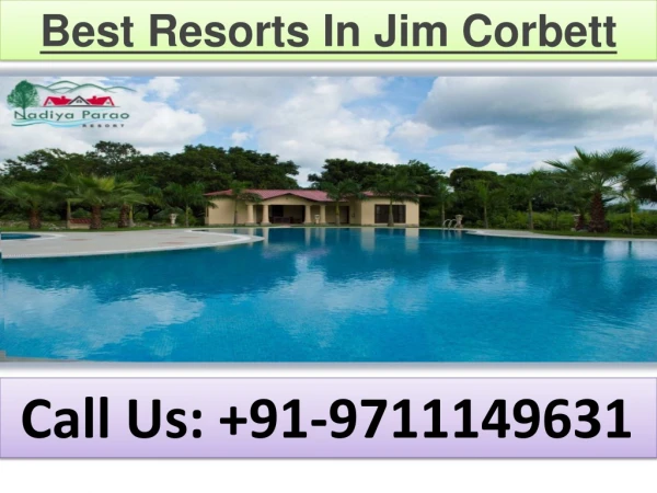 Best Resorts In Jim Corbett