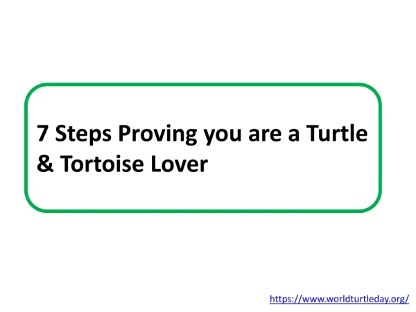 7 Steps Proving you are a Turtle & Tortoise Lover