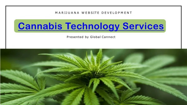Marijuana Website Development | Cannabis Technology Services