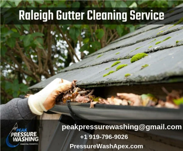 Best Raleigh Gutter Cleaning Service by Peak Pressure Washing